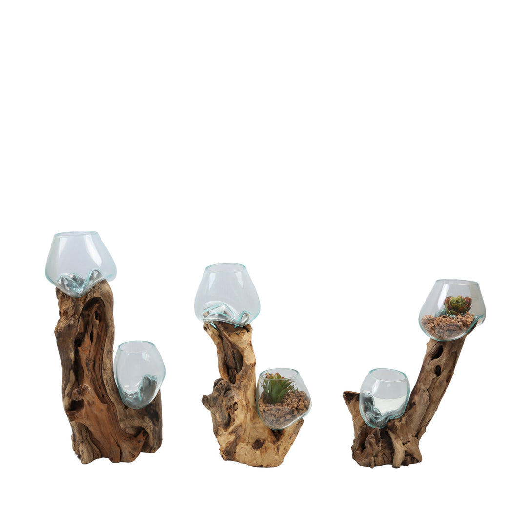 Double glass vase 15 cm on root wood