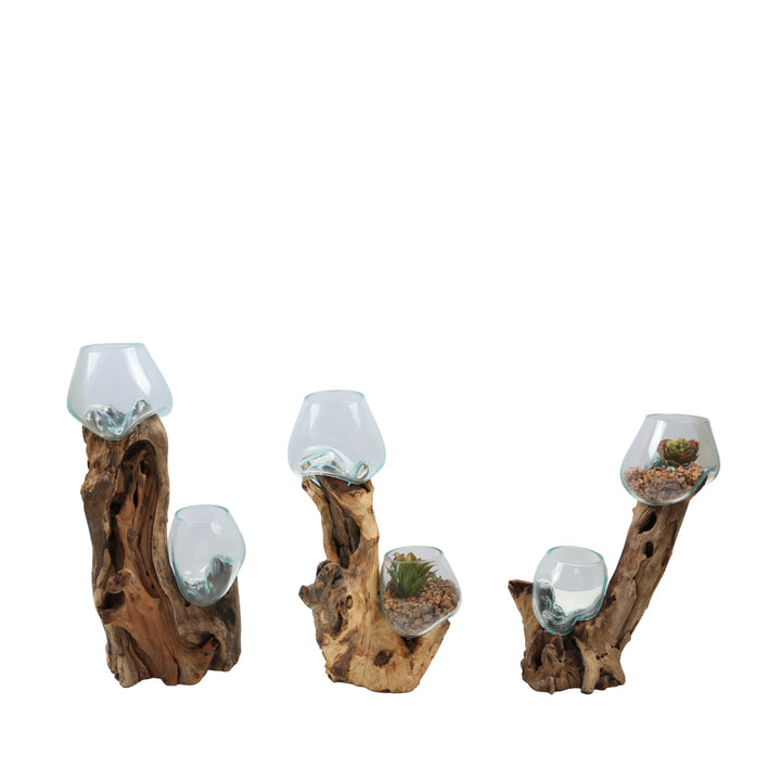 Double glass vase 15 cm on root wood