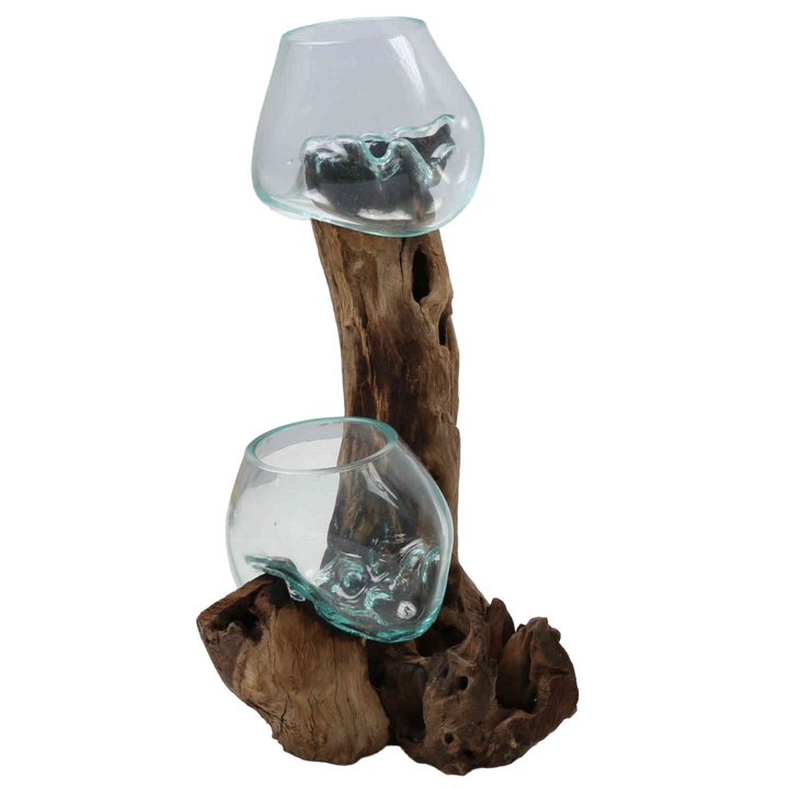 Double glass vase 15 cm on root wood