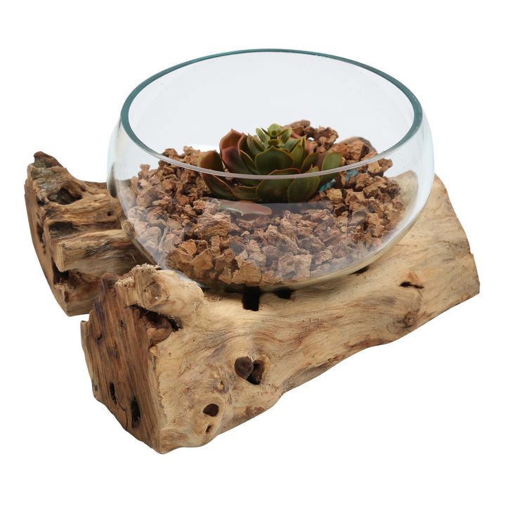 Glass bowl 20 cm on root wood