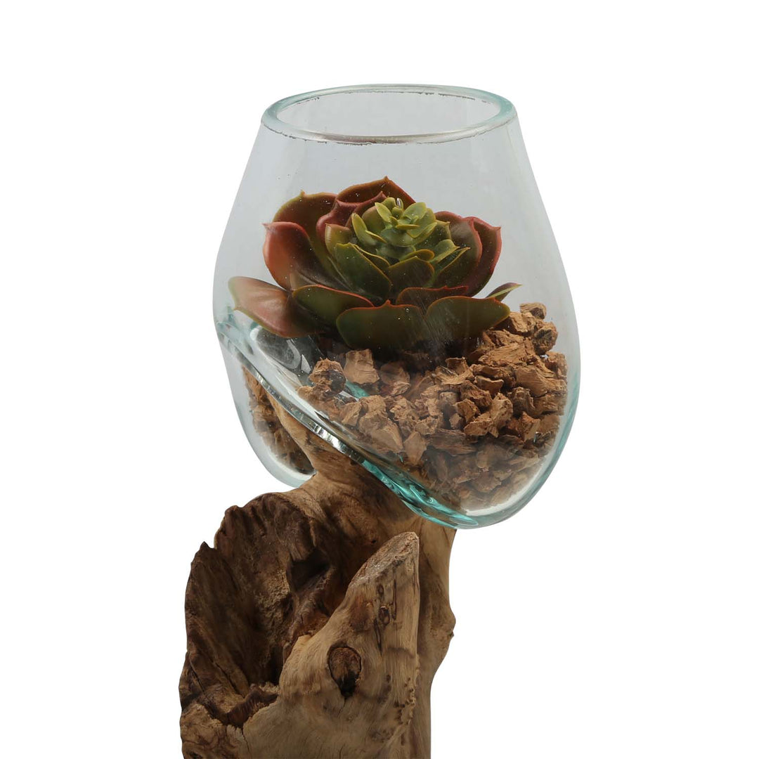 Double glass vase 12 cm on root wood