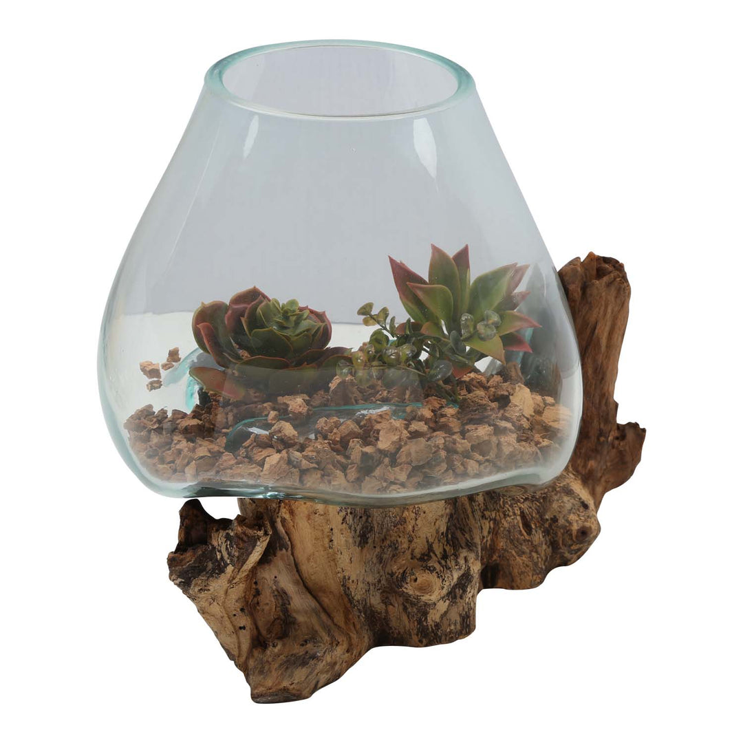 Glass vase on root wood A21