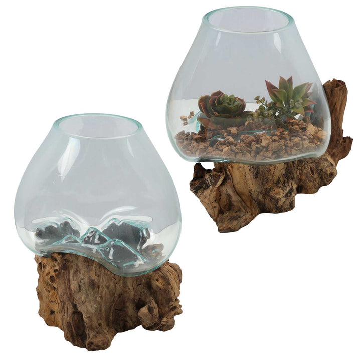 Glass vase on root wood A21