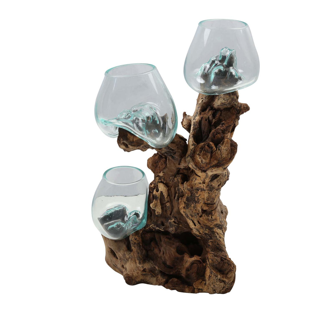Three glass vases 12 cm on burl wood