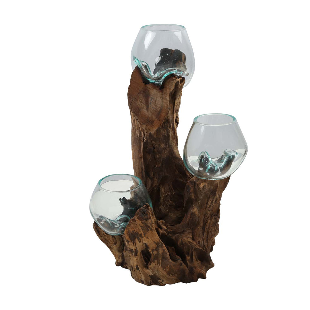 Three glass vases 12 cm on burl wood