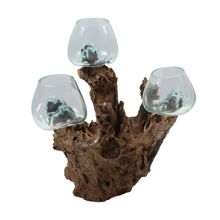 Three glass vases 12 cm on burl wood