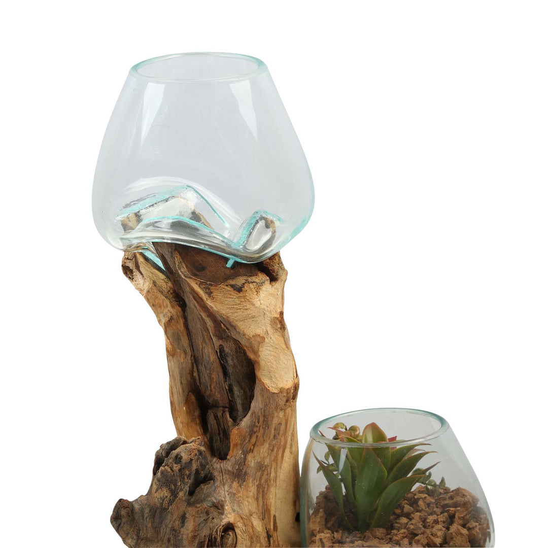 Double glass vase 15 cm on root wood