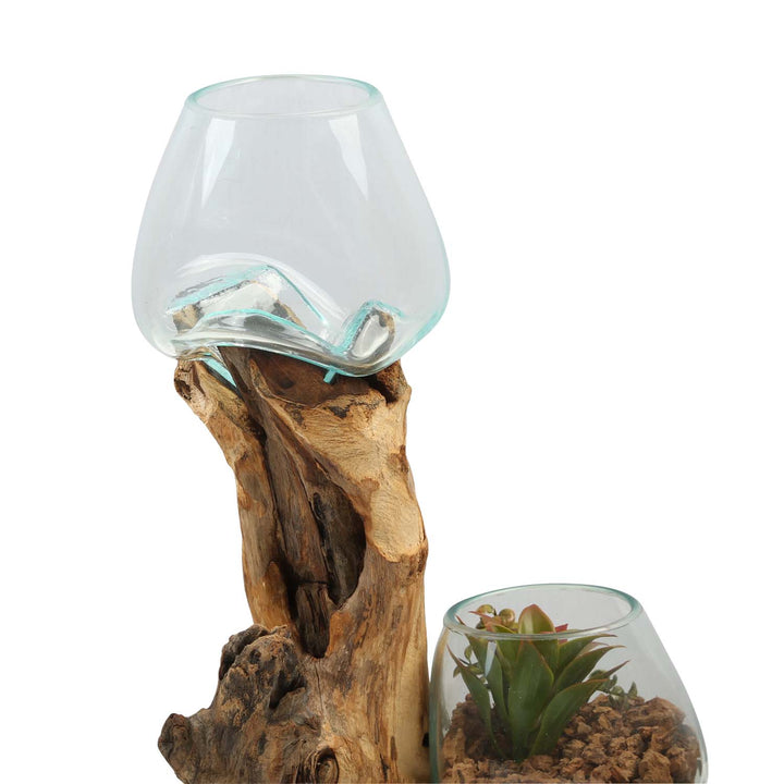 Double glass vase 15 cm on root wood