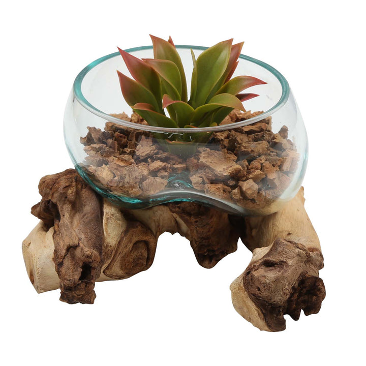 Glass bowl on root wood