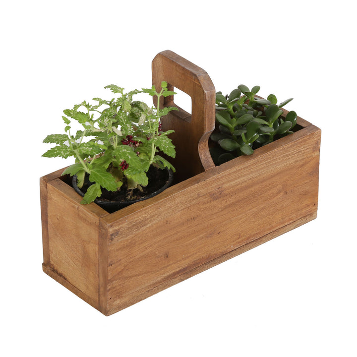 Planter box for plants herbs