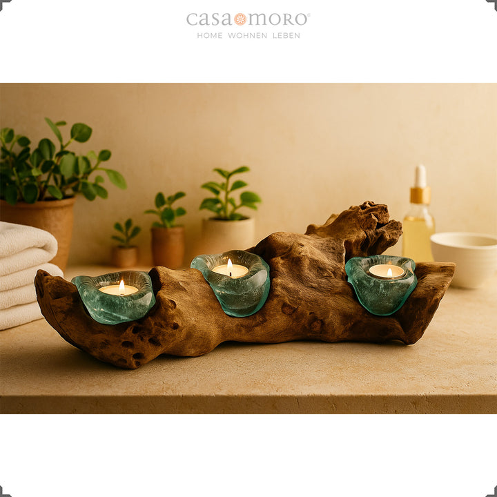 Three-part tea light holder made of turquoise glass and naturally grown root wood on a warmly lit shelf, surrounded by plants